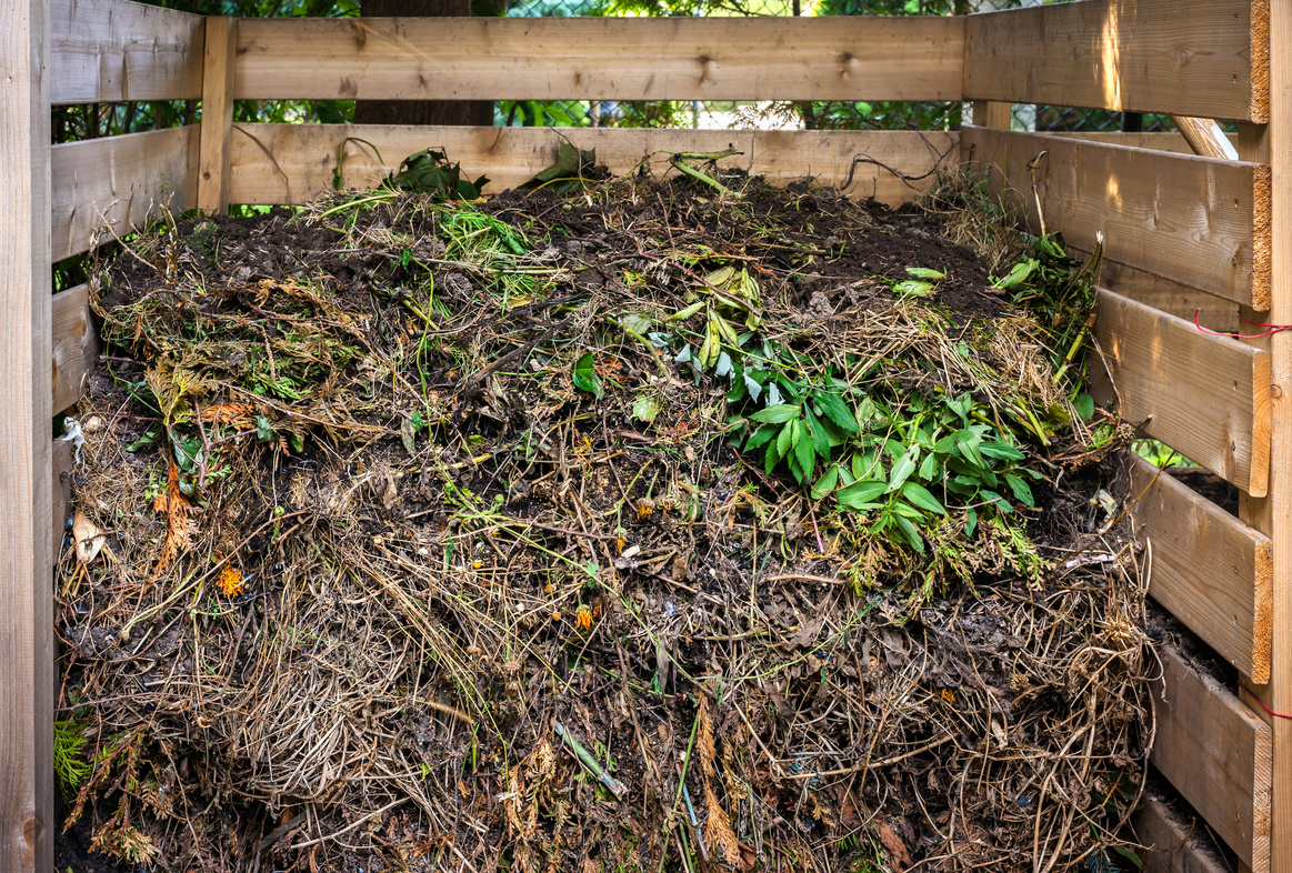 Yard Waste in Compost Bin